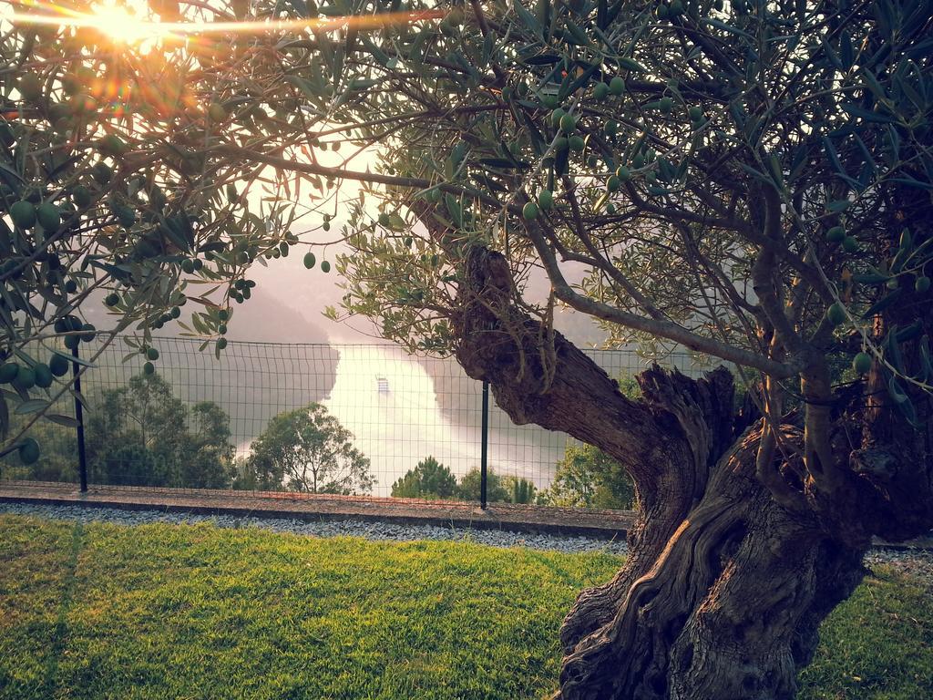 Cabaca Quinta Das Tilias Douro Valley מראה חיצוני תמונה