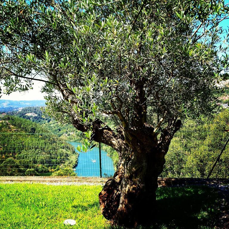 Cabaca Quinta Das Tilias Douro Valley מראה חיצוני תמונה